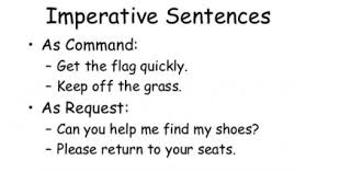 This sentence has important role in speaking and writing. The Imperative Sentence Grammar Trivia Quiz Proprofs Quiz