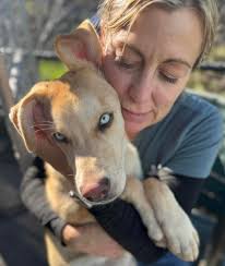 Dogwood Animal Rescue Project