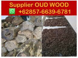 Rs 75,000/ kgget latest price. Agarwood Price Per Kg Suppliers 62 857 6639 6781 Whatsapp Aga