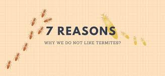 If you're dealing with a pest control issue, you need a company who will respond to your inquiry, get to your home and treat the issue quickly. Debugged Sg The Pest Control Blog The Pest Control Blog