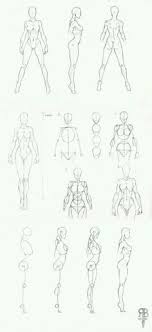 Female mannequin standing on a white background.woman`s figure sketch.body of woman. Drawing Female Body