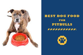Quality puppy foods will already be packed full of good nutrition so adding in more supplements will not benefit him and can be counterproductive. Purchase Best Wet Food For Pitbull Puppies Up To 78 Off