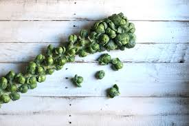 Most people enjoy the flavor and one of the most common ways to eat them is with butter, salt, and pepper. Ar0uyi69i7k52m