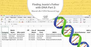 Finding Jeanies Father With Dna Part 2 Shared Centimorgans