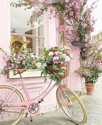 Join Our Pinterest Fam Bunnybearhair Sign Up To Become A Very Important Bunny By Joining Our Mailing Estetica Rosa Idee Immagine Composizioni Floreali