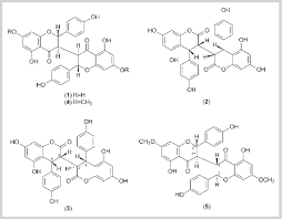 Image result for Ormocarpum trichocarpum