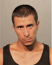 ᐅ Illinois Criminal Records 2009-2026