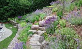 Landscaping On A Hillside Steep Slope Arlington Ma A Steep And Unmanageable Hillside Slope Conver Landscaping With Rocks Landscaping On A Hill Sloped Garden