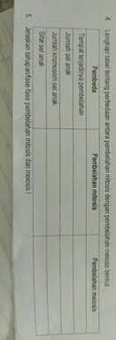 Dalam beberapa literature, meiosis dikatakan tidak mengalami siklus sel. 4 Lengkapi Tabel Tentang Perbedaan Antara Pembelahan Mitosis Dengan Pembelahan Meiosis 5 Jelaskan Brainly Co Id