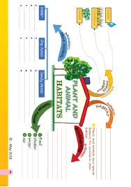 This curiosity will help learners value science as an important tool in helping them continue to explore their natural and physical environment. Grade 5 Natural Science Mind Maps Downloadable Pdf Cre8tive Studies