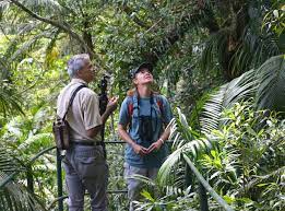 Scientists Work To Help Save The Amazon Rainforest And Its Biodiversity |  Vtx | Virginia Tech