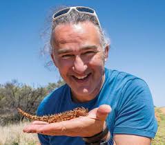 End-to-End Highlights • Twilight Walk Programme • The Salkantay Trek •  Walking the Channel Islands