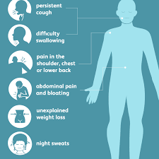 The pancreas is an organ that releases enzymes involved with digestion, and hormones to regular blood sugar levels. Mesothelioma Overview And More