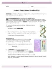 407 biology worksheet templates are collected for any of your needs. Buildingdnase Name Date Student Exploration Building Dna Vocabulary Double Helix Dna Enzyme Lagging Strand Leading Strand Mutation Nitrogenous Base Course Hero