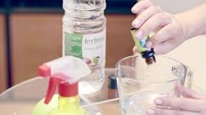 Sirkenin kokusu sizi yada sevdiklerinizi rahatsız ediyorsa ve siz ısrarla kullanmak istiyorsanız eğer, sevdiğiniz kokuların. Evde Dogal Deterjan Nasil Yapilir Irem Guzey Youtube