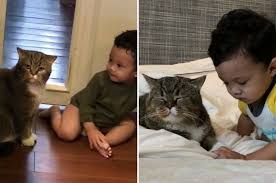 Bujibu chempel ada 1.1 juta pengikut di instagram! 5 Momen Terbaik Yusuf Iskandar Dan Bujibu Chempel Yang Mencuit Hati Lifestyle Rojak Daily