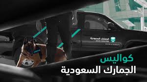 Careers الهيئة العامة للجمارك