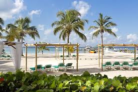 Beach resorts en boca chica: Whala Boca Chica All Inclusive Boca Chica Updated 2021 Prices
