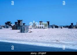 Image result for Blue 1976 UMM