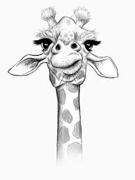 Sketch Giraffe Essential T Shirt By Jonthomson Animal Drawings Sketches Art Drawings Sketches Creative Cool Art Drawings