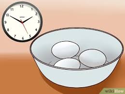 Come Pastorizzare Le Uova 14 Passaggi Con Immagini