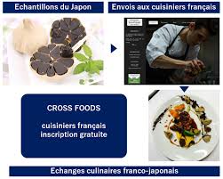 Pdf de 500 recettes du web. Rencontre Des Japonais Apprendre Le Japonais Avec Eux