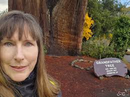 Hi everyone I please need help. I'm coming out to the redwoods beginning of  April to find this tree. My hubby was killed in a motorcycle crash last  year and I want