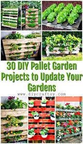30 Diy Pallet Garden Projects To Update Your Gardens Jardin De Vegetales Huertos Verticales Proyectos De Jardin