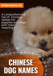 130 beautiful chinese dog names ideas | cute male and female names. 200 Chinese Dog Names For Asian Puppies Inspired By Chinese Culture