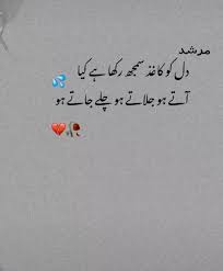 Pin By شایان چوہدری On Murshid مرشد In 2020 Simple Love Quotes Real Friendship Quotes Urdu Love Words