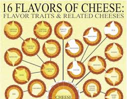 Cheese Choosing Infographics Flavors Of Cheese