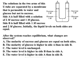 Cell Homeostasis Review Ppt Video Online Download