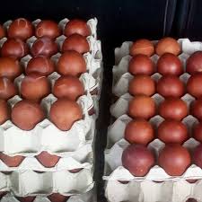 Mengenai harga pakan ayam sendiri, memiliki harga yang bervariasi, harga pakan ayam petelur biasanya di tentukan dengan jenis dan produk pembuatnya. Azita Telur Pindang Area Jasin Tangkak Batu 23 1 2 Jln Loji Air Kampung Chinchin 77000 Jasin Melaka Jasin 2021