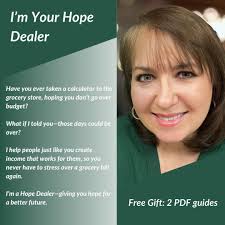 Can someone build this house for me with a 100k budget?