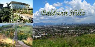 Opening hours for pest control in los angeles, ca. Pest Control Baldwin Hills Hearts Pest Management