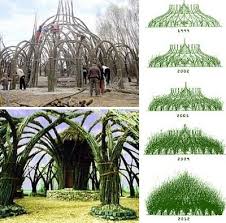 Stone Art Blog Living Willow Structures Landscape Design Living Willow Dream Garden