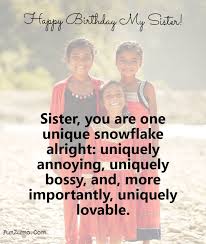 Get inspired by 200+ examples of sister birthday messages happy birthday, dearest sister. 145 Birthday Wishes For Sister Happy Birthday Quotes Messages Funzumo