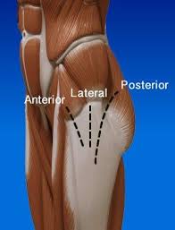 Hip Replacement Direct Anterior Approach Hip Replacement Exercises Hip Replacement Hip Replacement Recovery