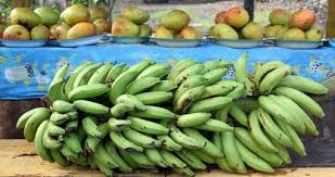 Check spelling or type a new query. Samoa Food Drinks Samoa Vacation Tours 2021 22 Goway