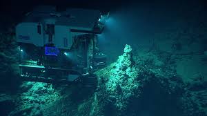 Camera at the deepest point of the ocean made disturbing discovery