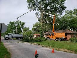 Vt selle ettevõtte 4 suhtlusvõrgustiku lehekülge, sh facebook ja google, tundi, telefon, veebisait jm. Tree Trimming Tools Tree Trimming Service Stockton Ca Tree Service Tree Removal Pruning Stump Removal Emergency Tree Service In Stockton