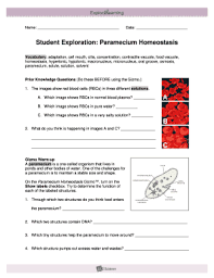 Learning about amphibians answer key idaho you learning act. Paramecium Homeostasis Gizmo Answers Fill Online Printable Fillable Blank Pdffiller
