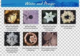 Taken from the documentary what the bleep do we know!? the beautiful actress. Mensajes Del Agua The Hidden Messages In Water ç¯ å´Žæ„›å†™çœŸé›† çµæ™¶ Photography Png Clipart