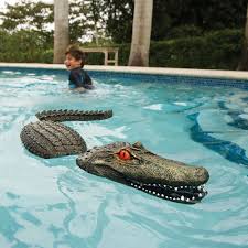 Alligator Gonflable Pour Piscine Geek