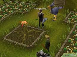 Orange tree runescape wiki fandom powered by wikia. How To Farm On Runescape 8 Steps With Pictures Wikihow