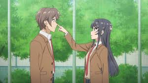 Jan szynaka mit vizepräsidenten prof. Bunny Girl Senpai Pc Wallpaper Hd Novocom Top