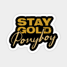 Tell me what you want to see stay gold ponyboy Stay Gold Ponyboy The Outsiders Magnet Teepublic