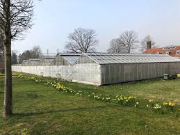 It is open daily without charge. Botanischer Garten Botanical Garden Kassel The Passenger