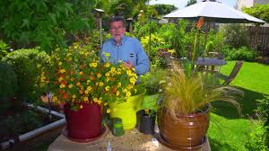Maybe you would like to learn more about one of these? How To Make A Container Garden Ace Hardware Youtube