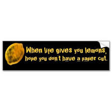 Pin On When Life Gives You Lemons